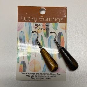 Tiger's Eye Teardrop Earrings - Brown